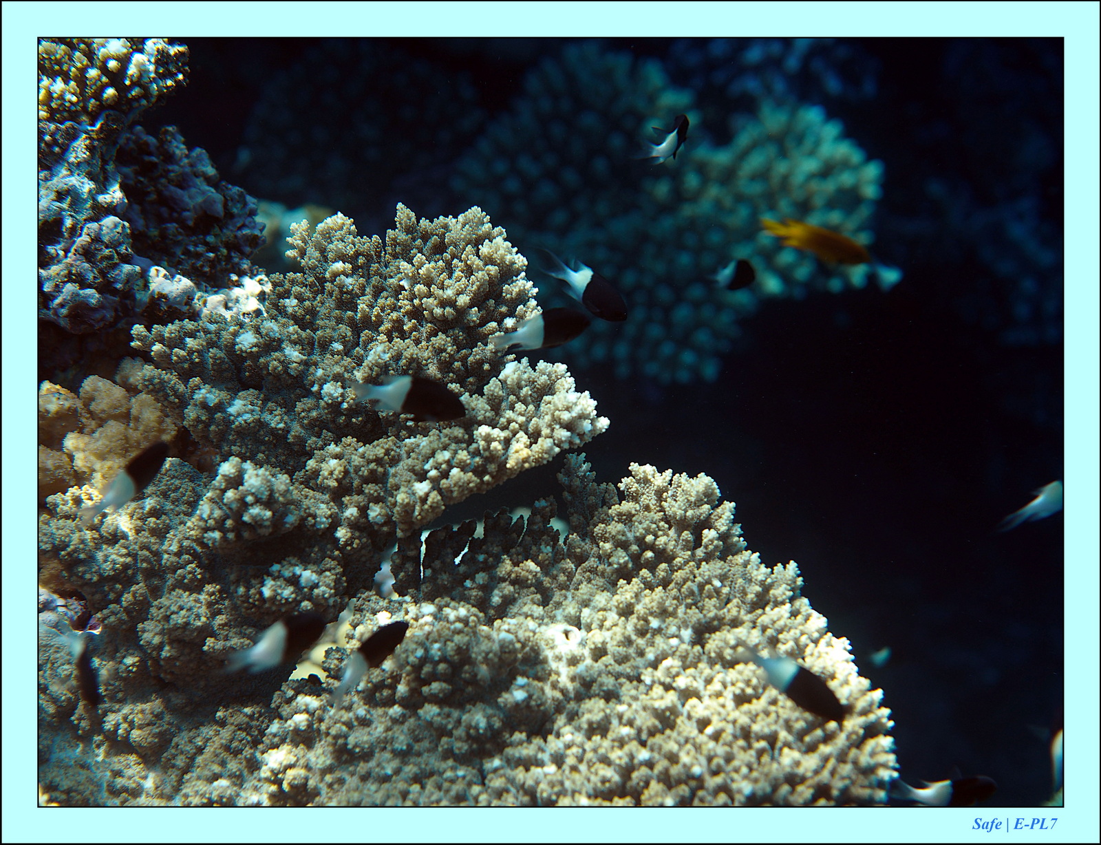 Hurghada - Aout 2021 - 034